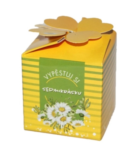 Vypěstuj si sedmikrásku