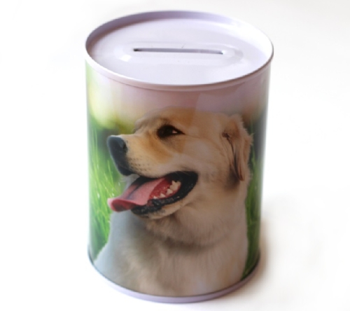 Pokladnička Zlatý retrívr