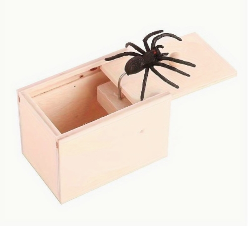 Pavouk v krabičce