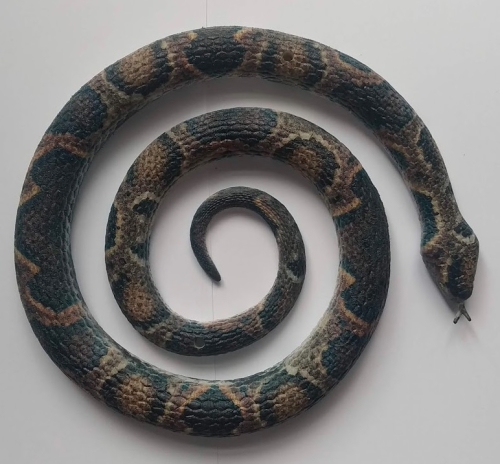 Had gumový hroznýš